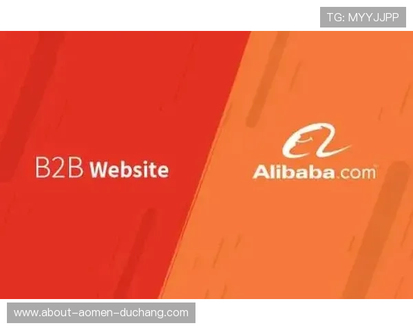 大阳城国际站多平台整合运营策略详解
